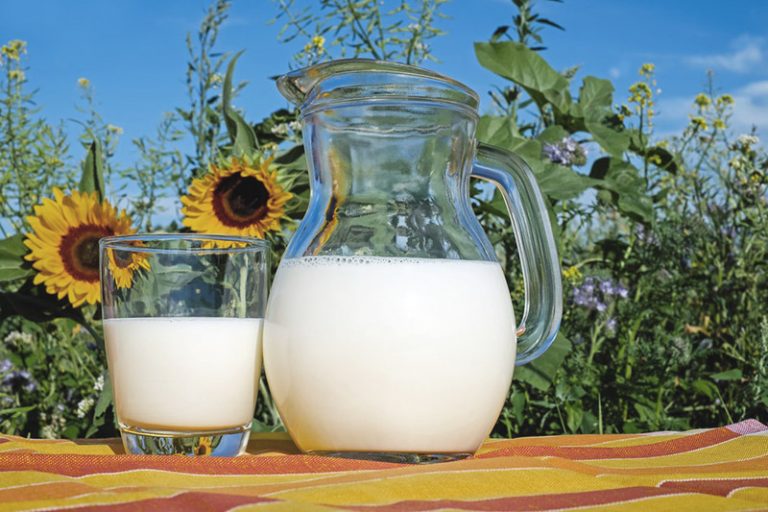 Milchprodukte nach der Weisheitszahn OP? | Weisheitszahn-OP.net